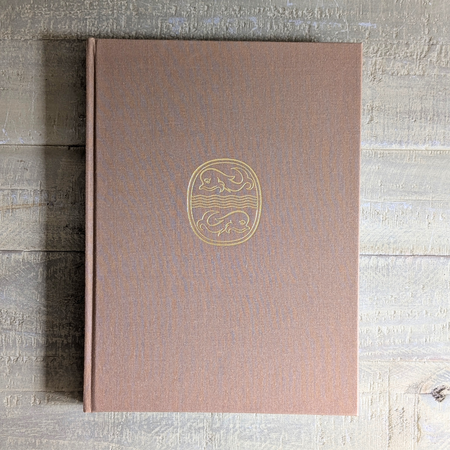 Michelangelo Book