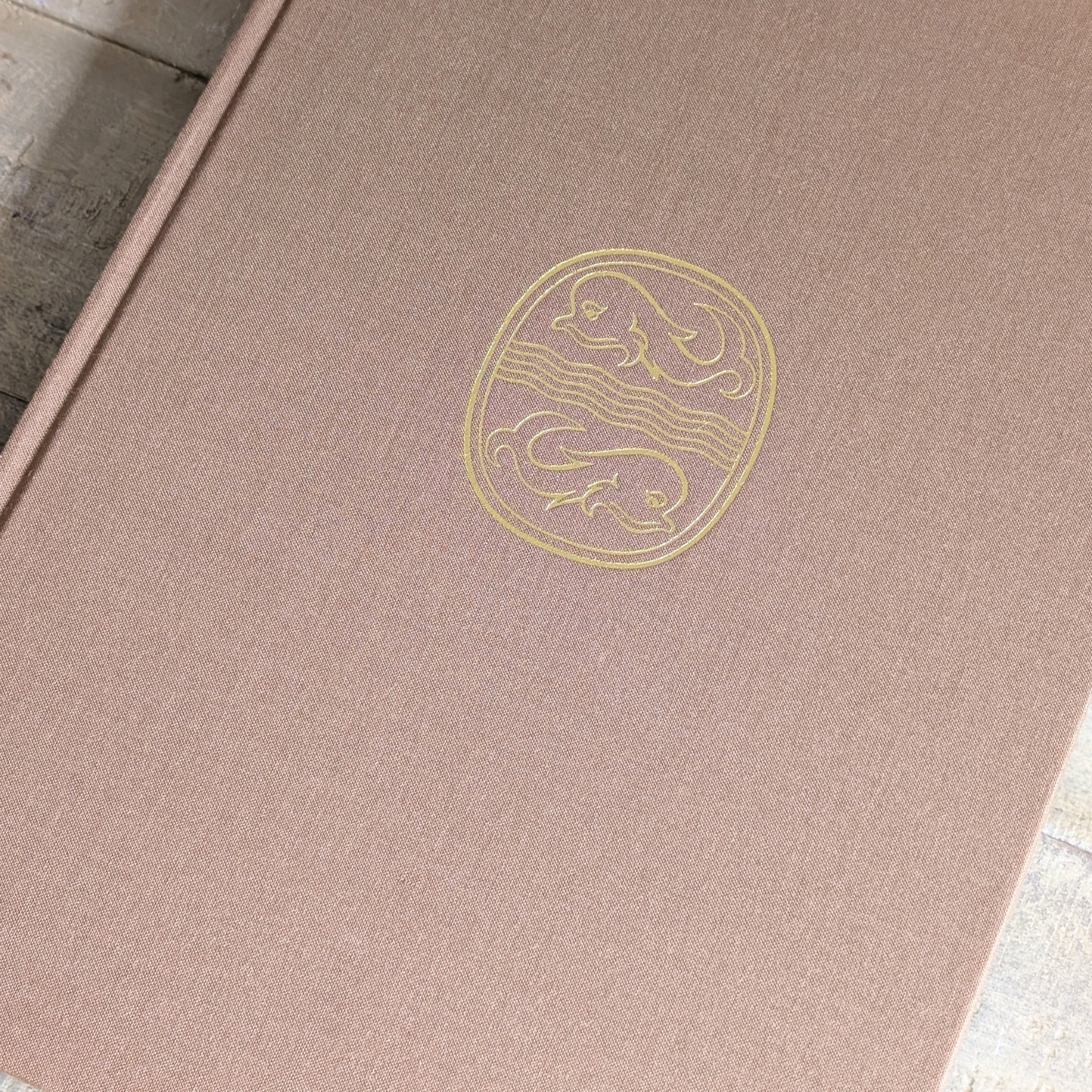 Michelangelo Book