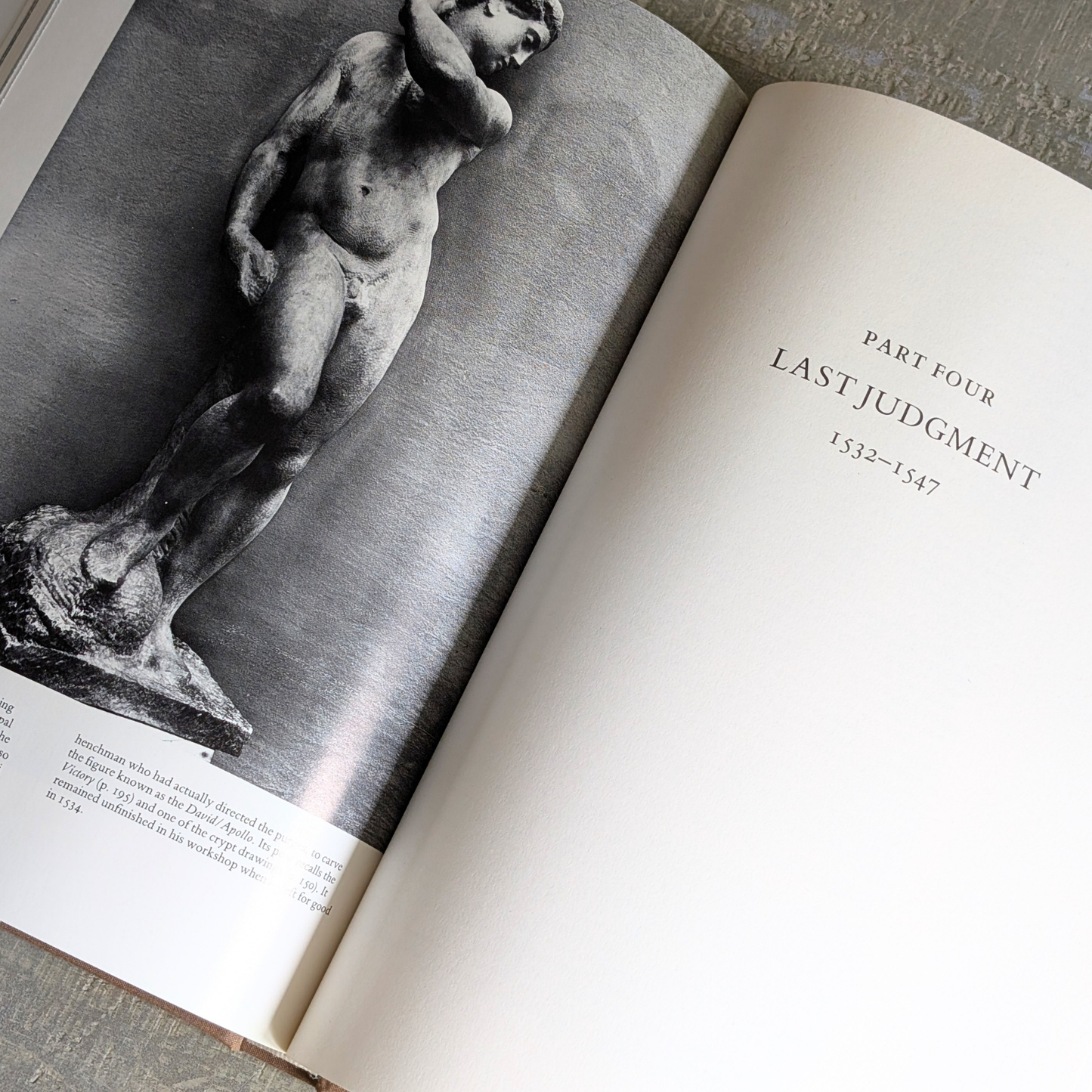 Michelangelo Book