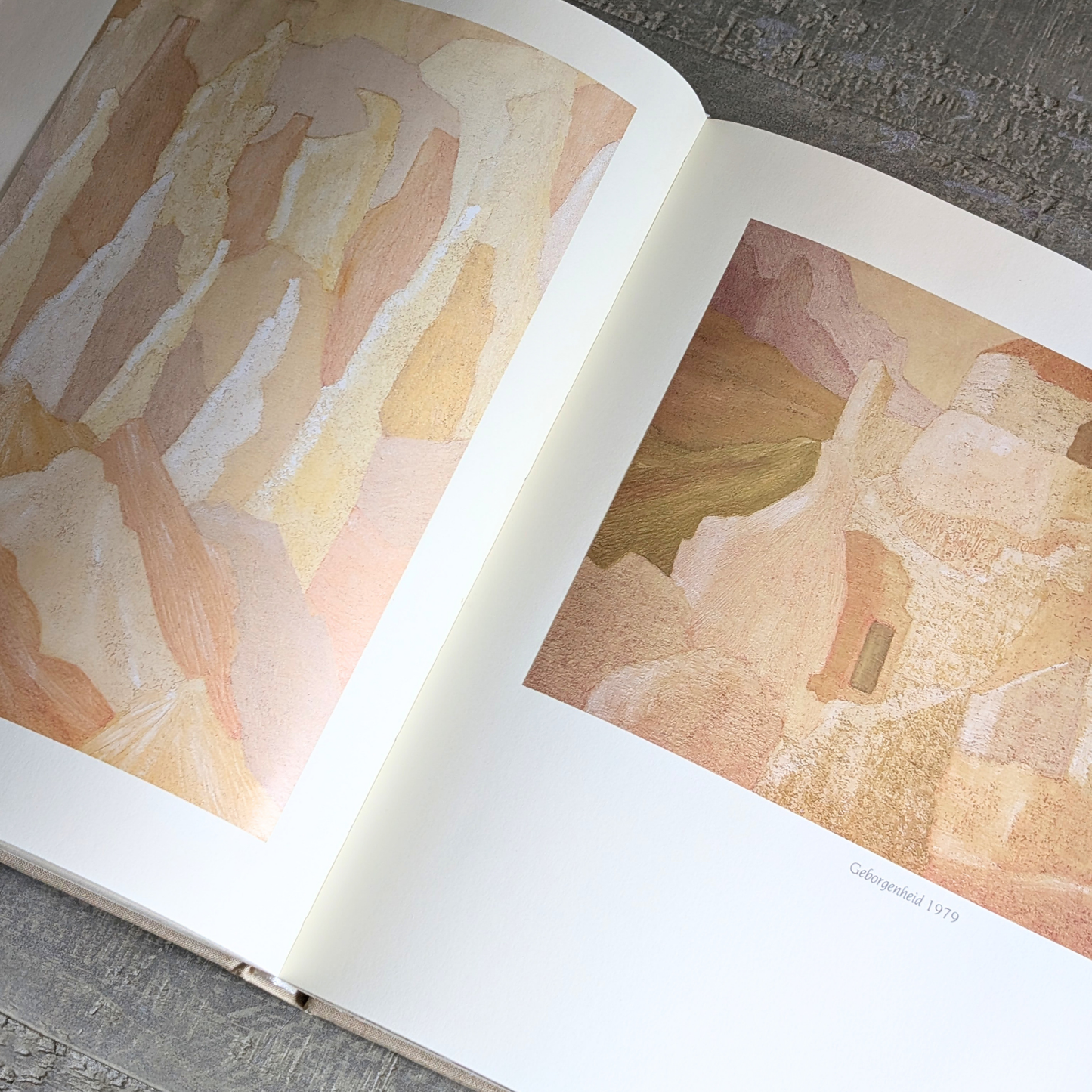 Frans Pins Book