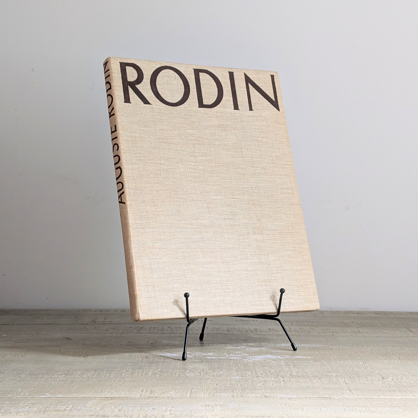 Rodin Book