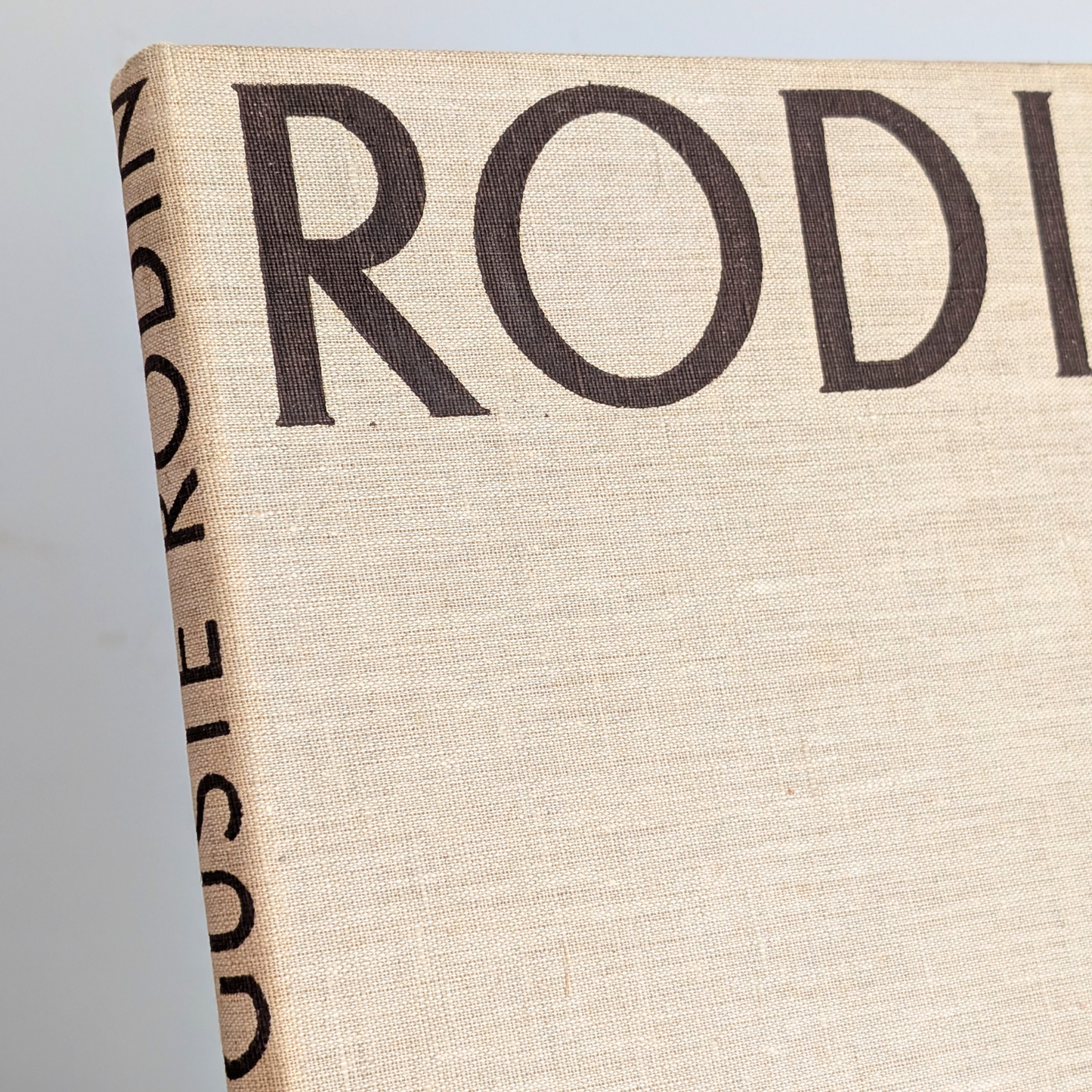Rodin Book
