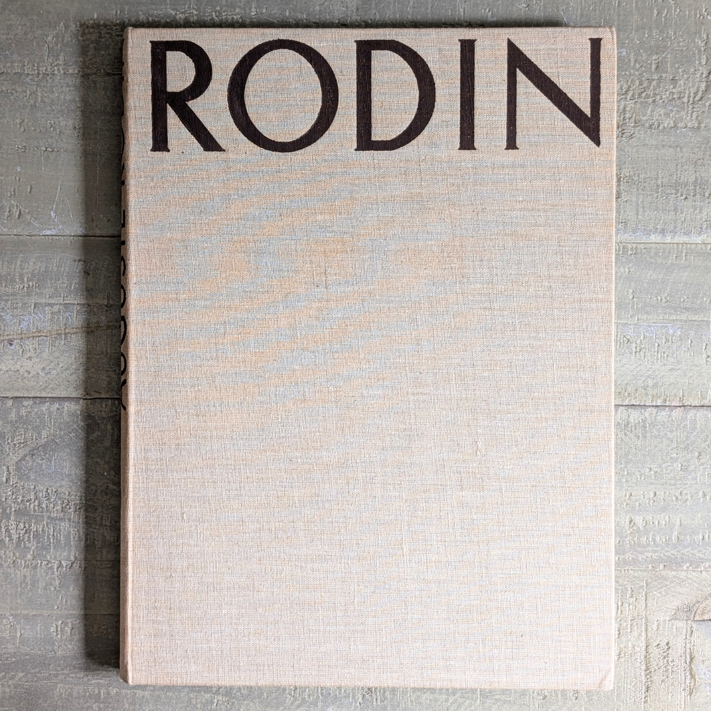 Rodin Book