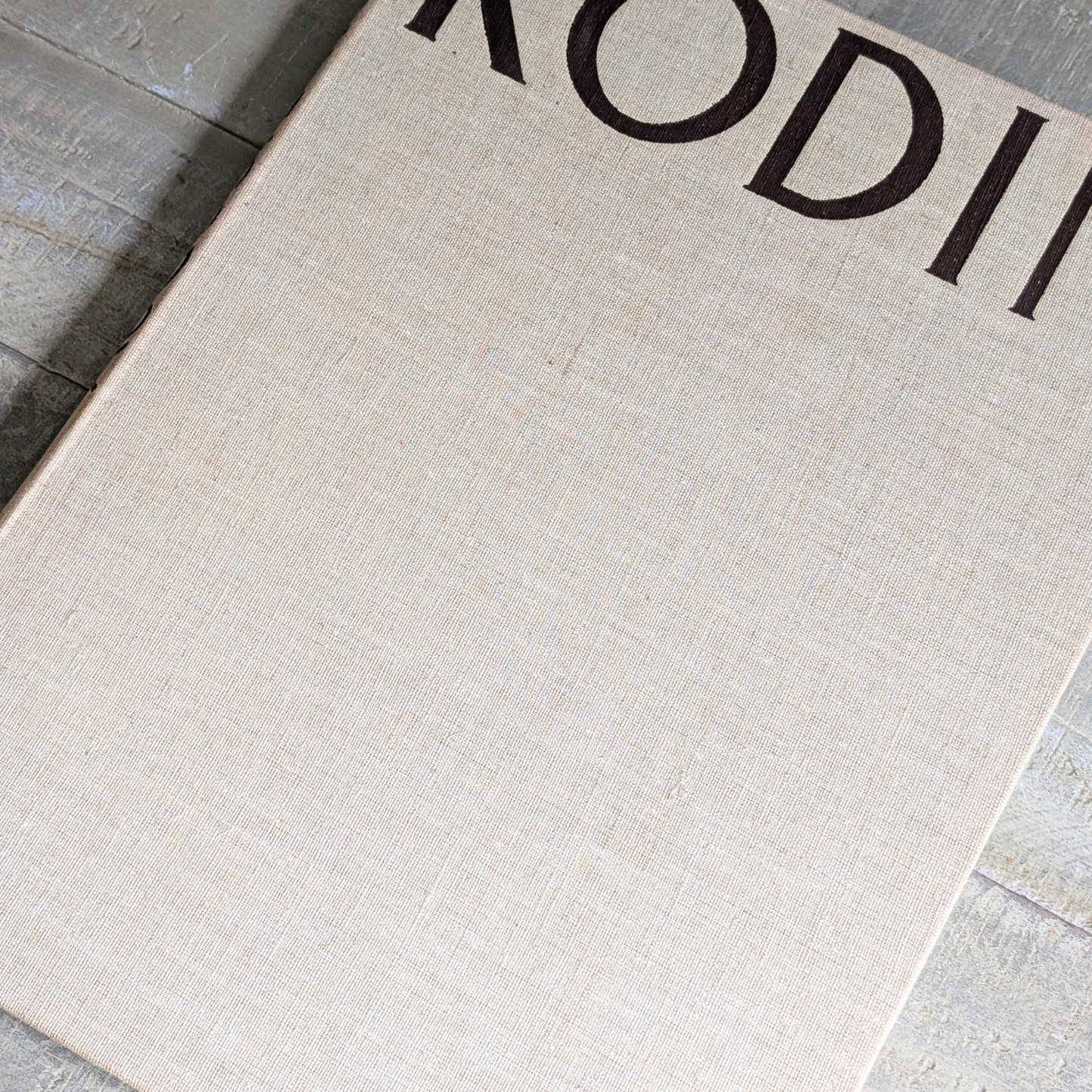 Rodin Book