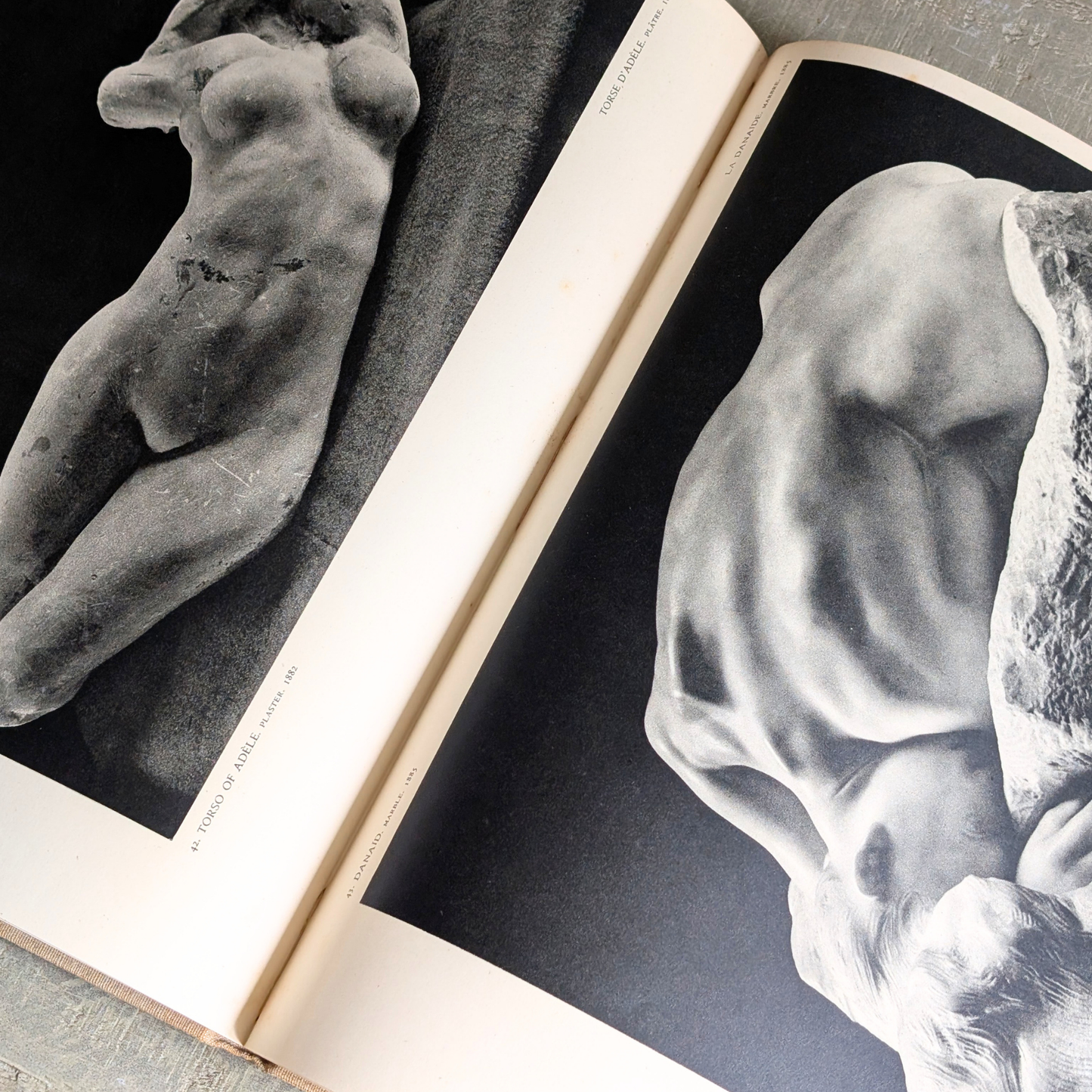 Rodin Book