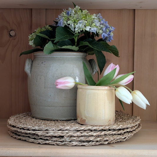 Small Yellow Pot