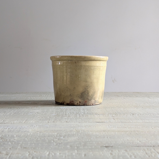 Medium Yellow Pot 1